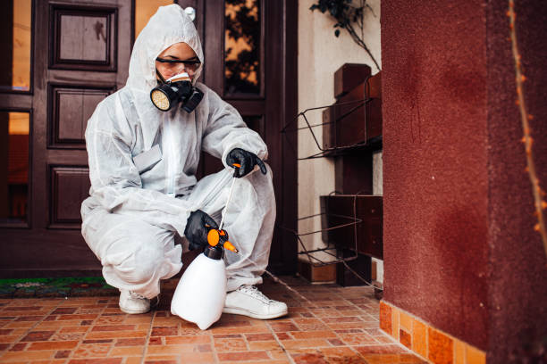 Reliable Wasp Removal contractor in Las Campanas, NM by Show Me Pest Control